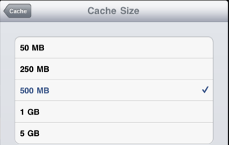 Cache size