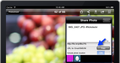 Copy url
